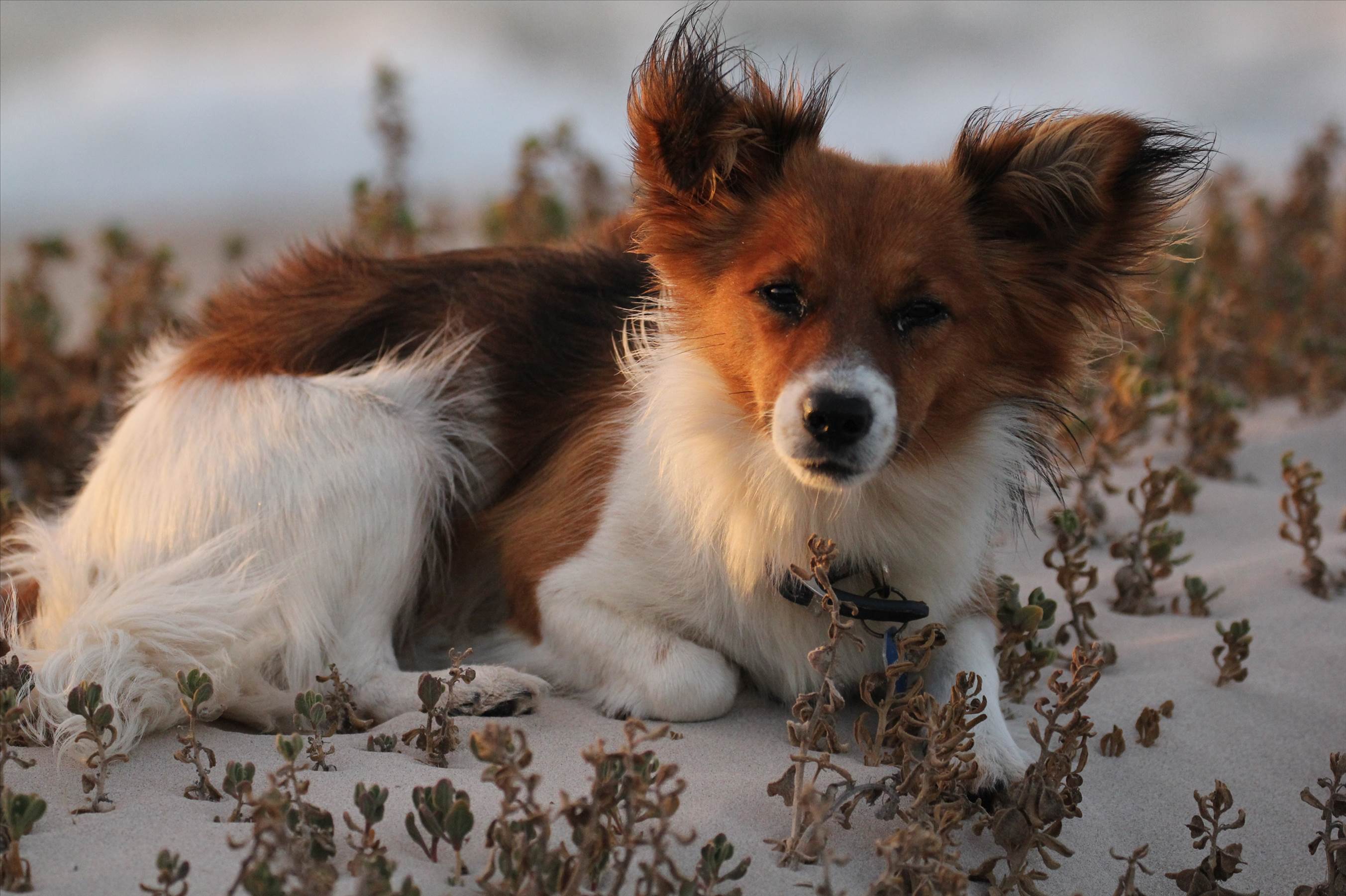Geraldton last day of 2013