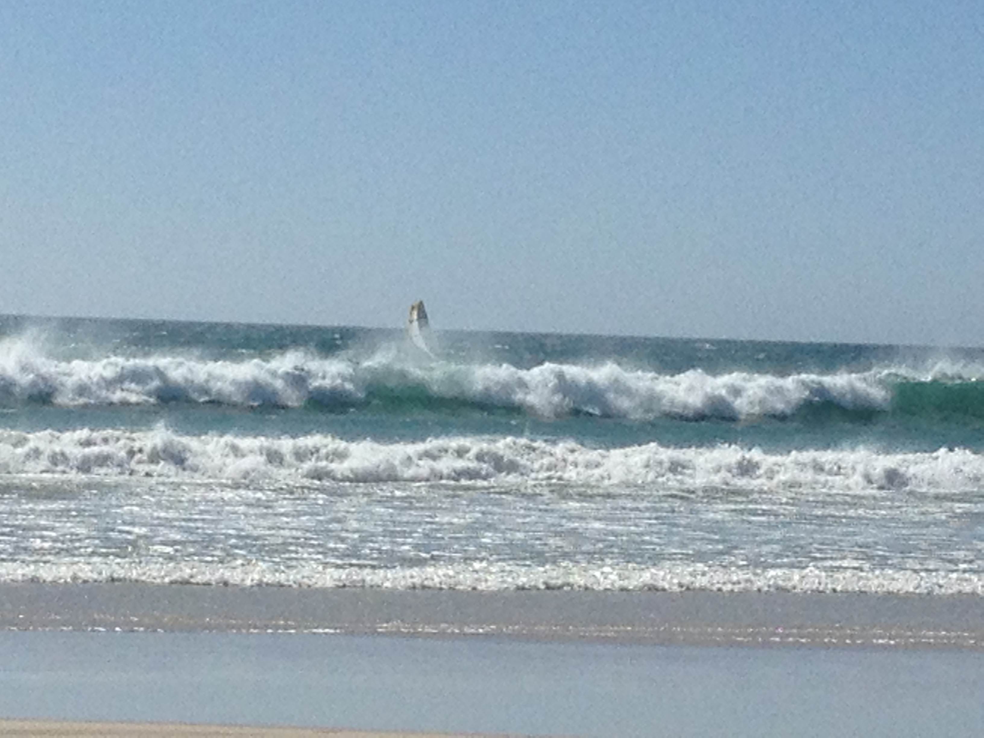 RobsIphoneJan2014 125