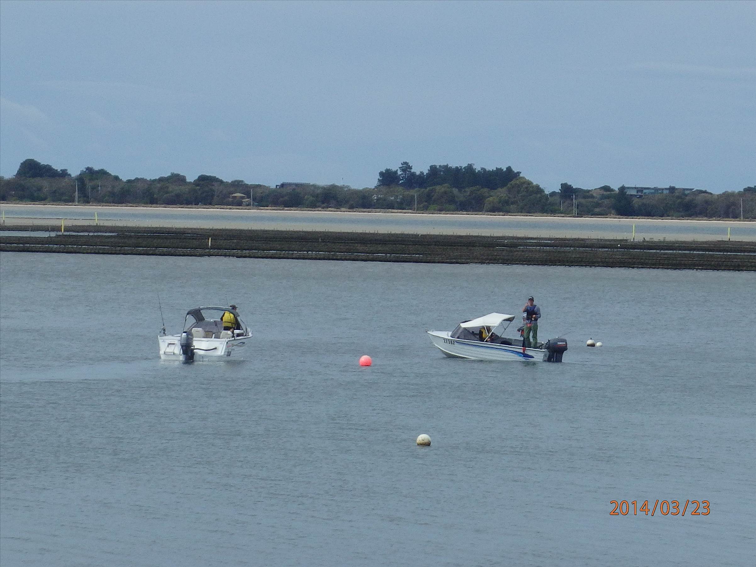 windsurfing tas fishing day