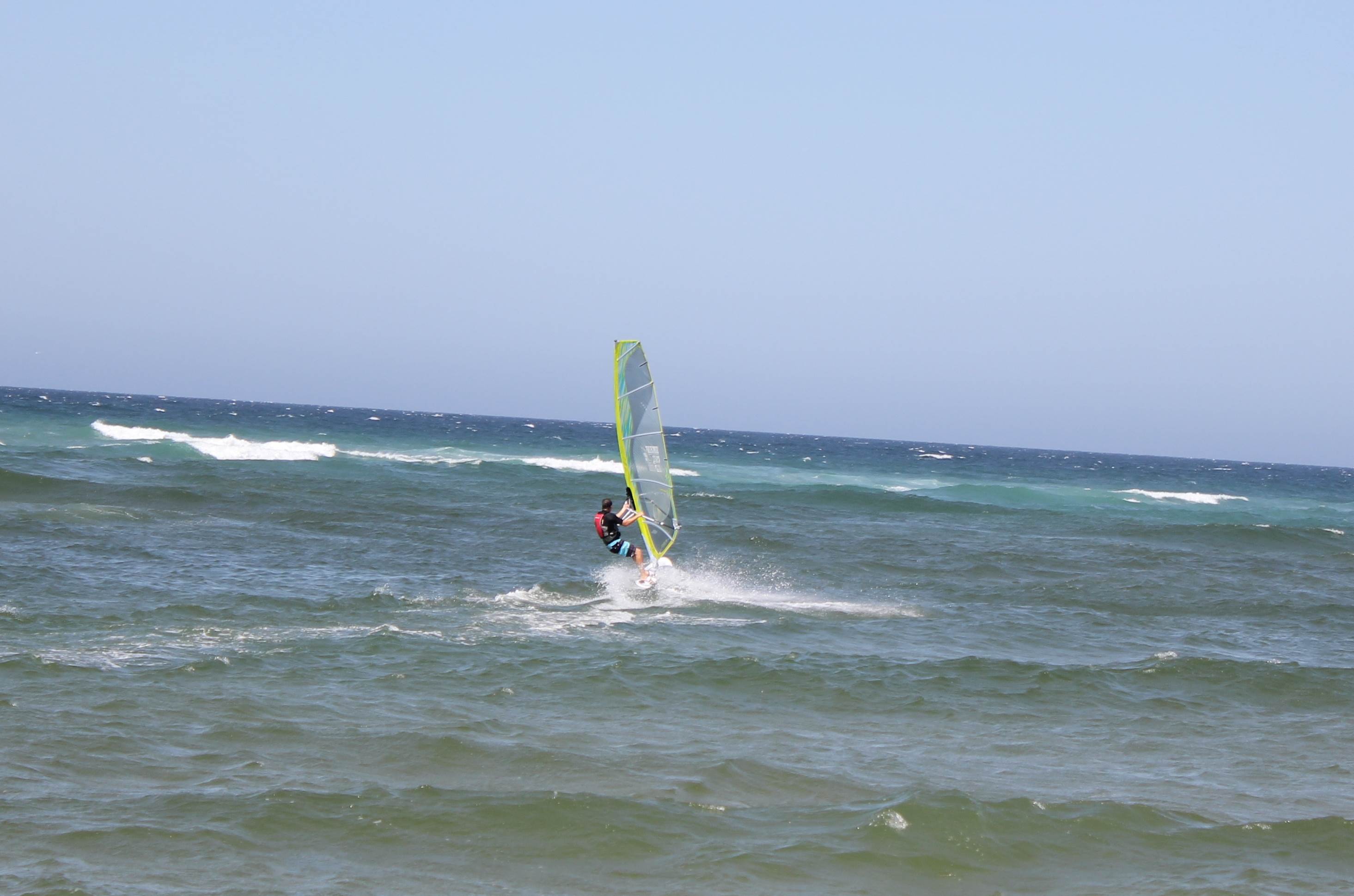 Sept 2013.JPG; cotton tree 033