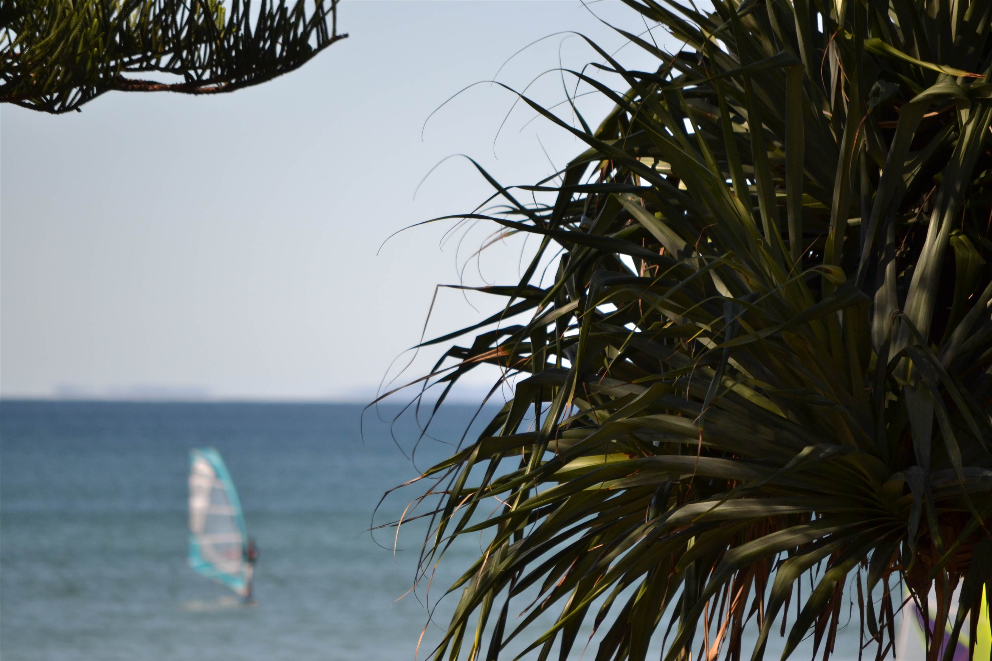 Windsurf caloundra