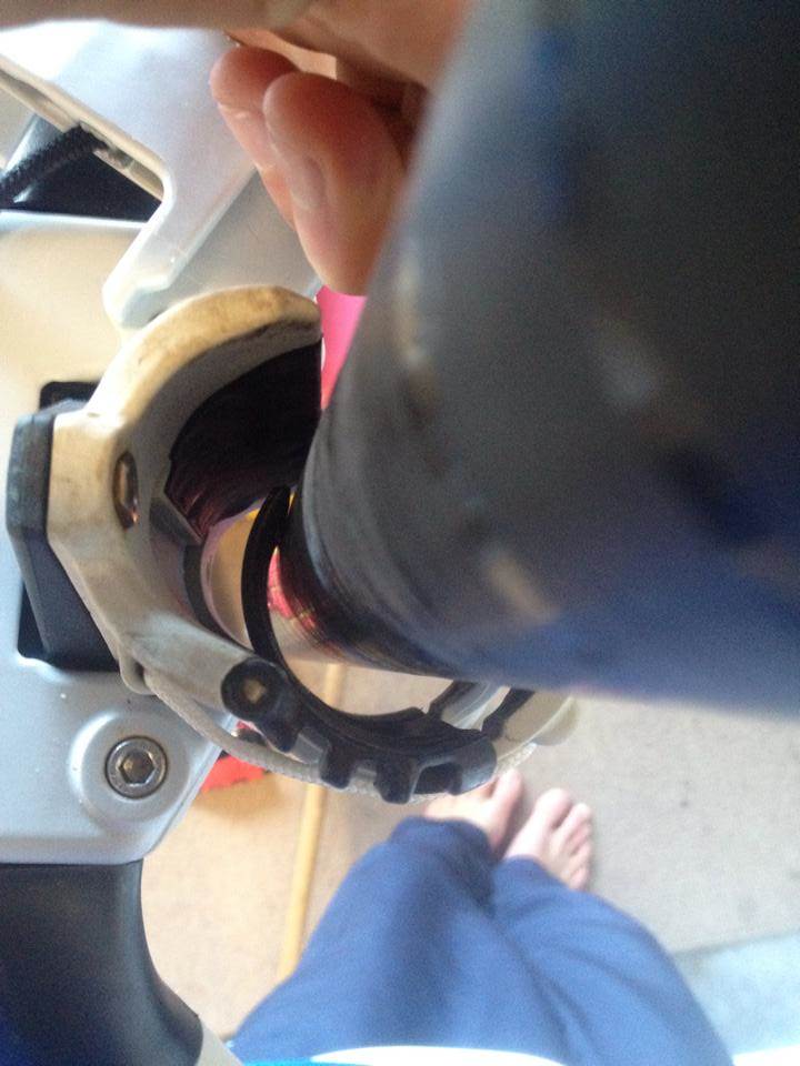 10685247 304404813077021 1619348451 n