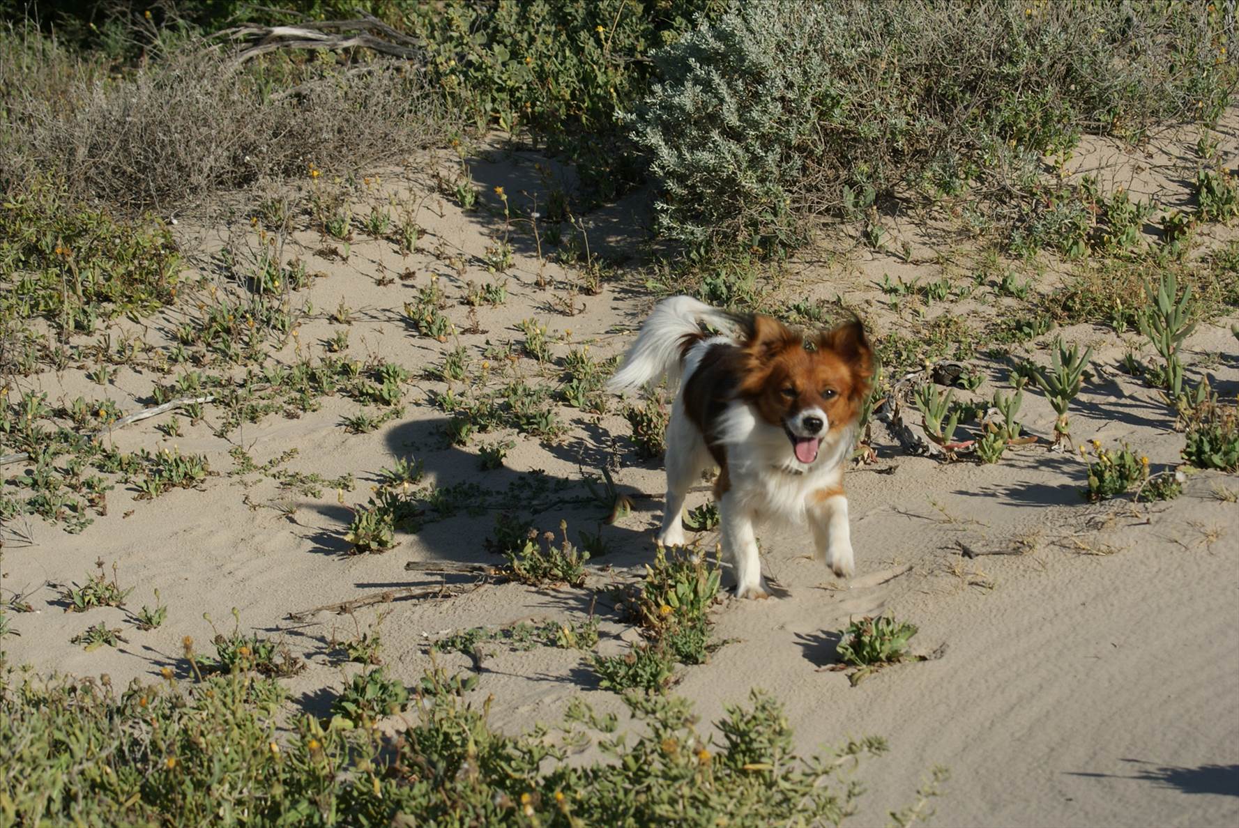 Geraldton Seabreeze season opener 11.9.2014
