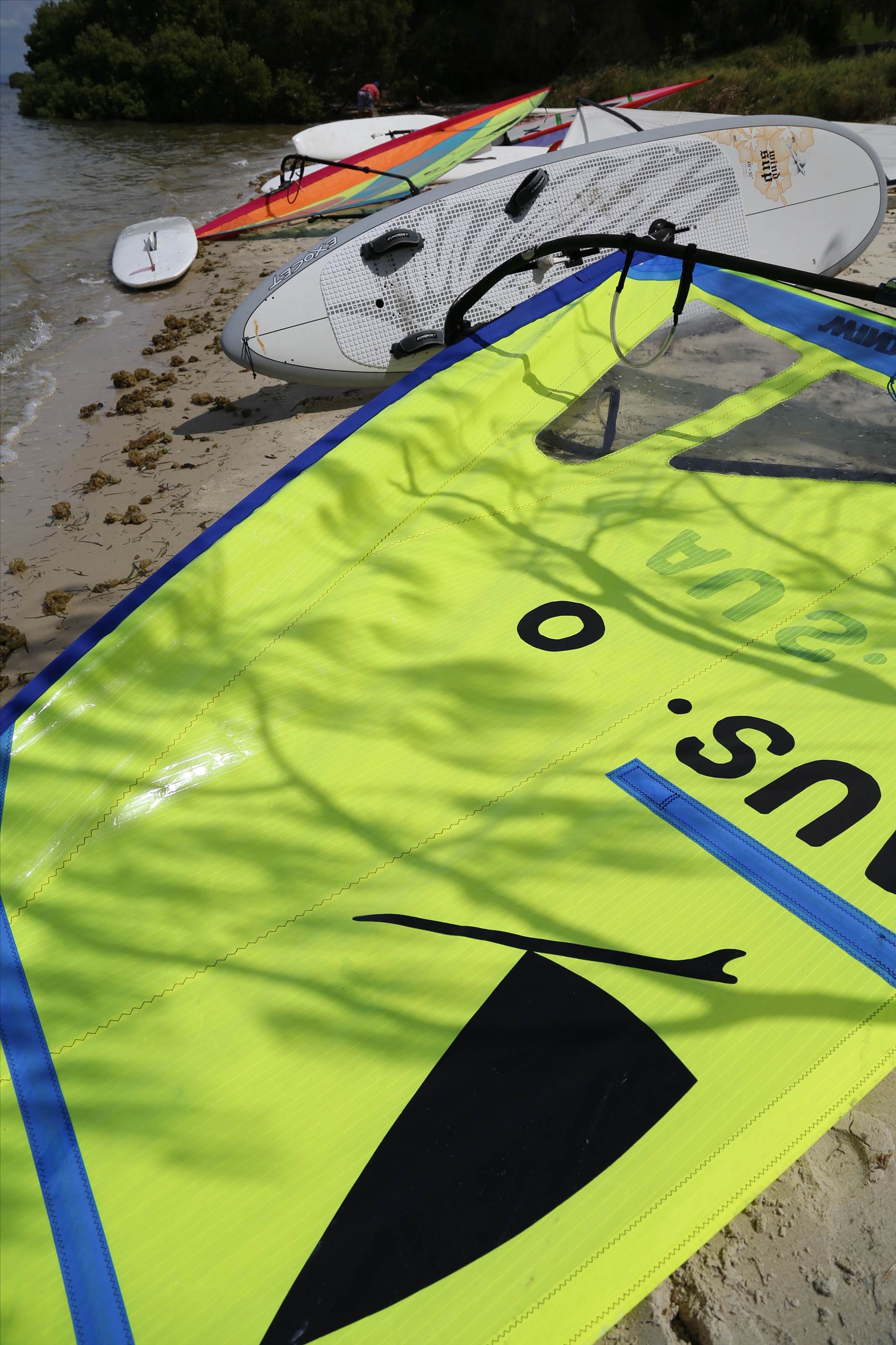 Windsurfer One Design racing