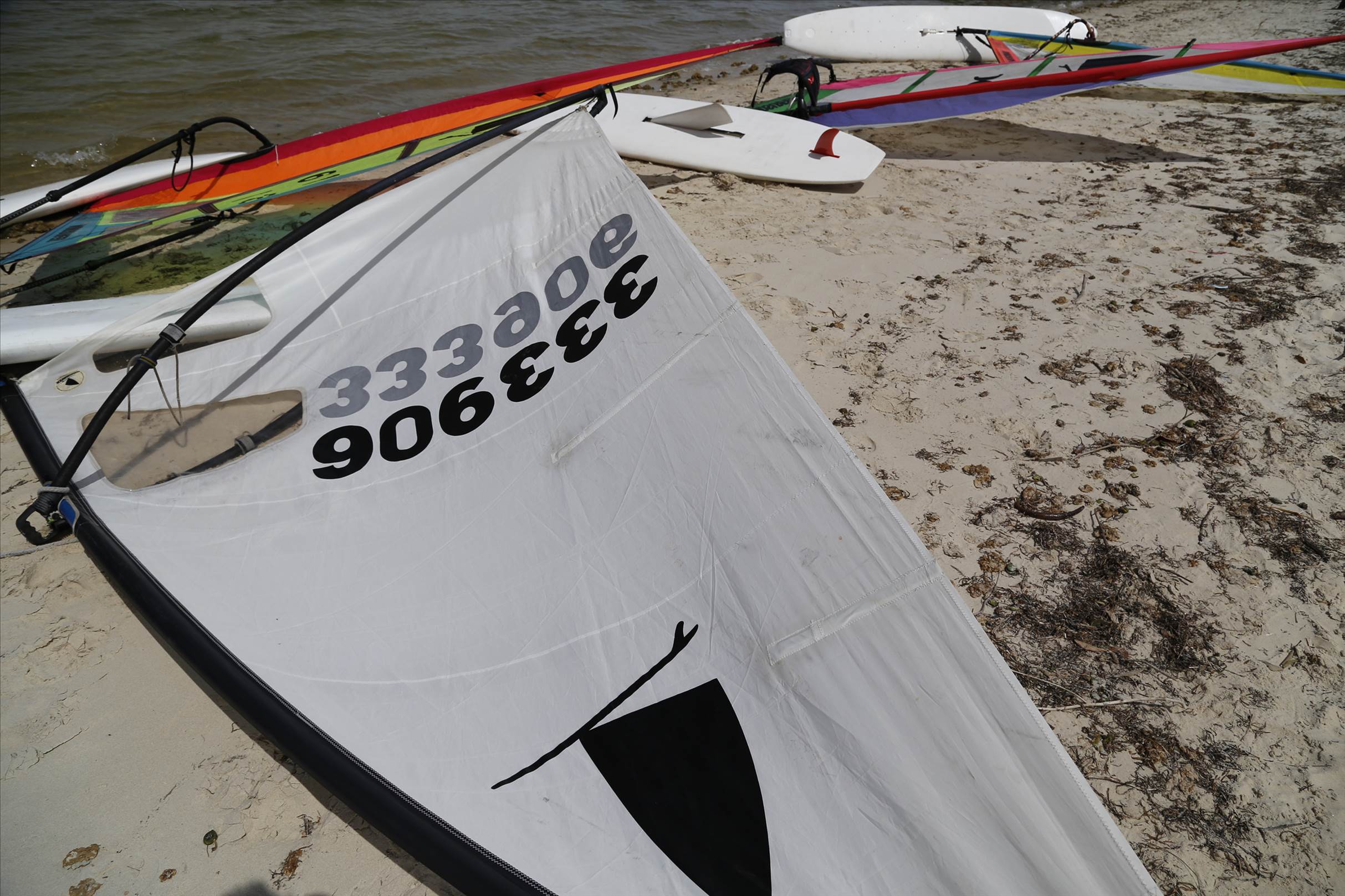 Windsurfer One Design racing