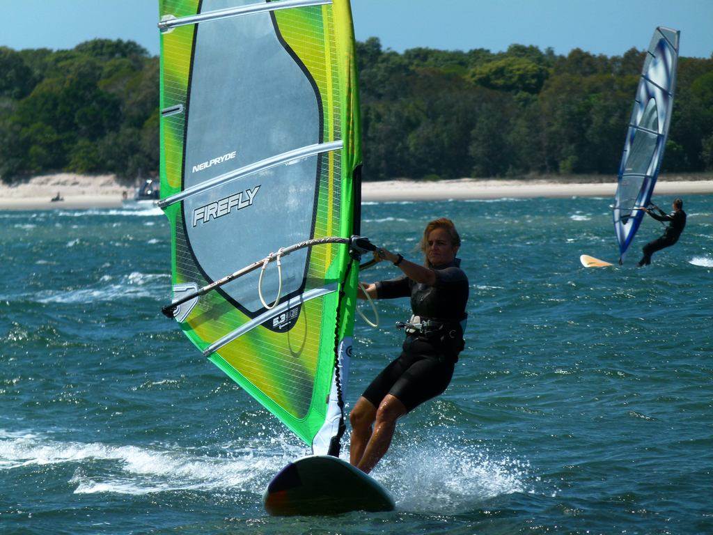 Shearwater, Gold Coast