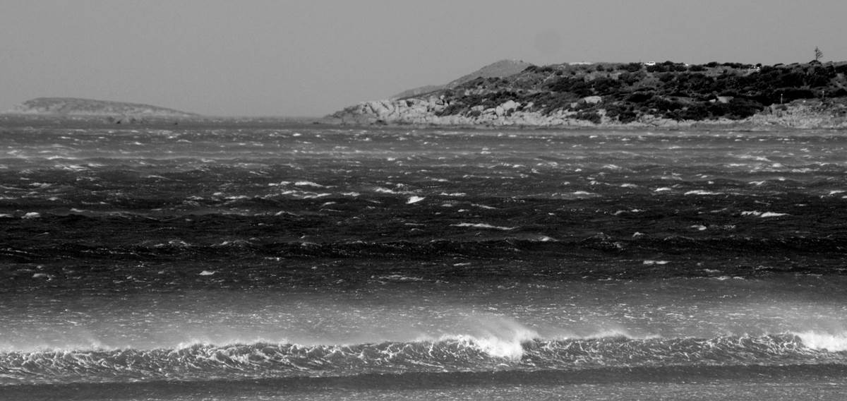 WSA Titles 28th September 2014