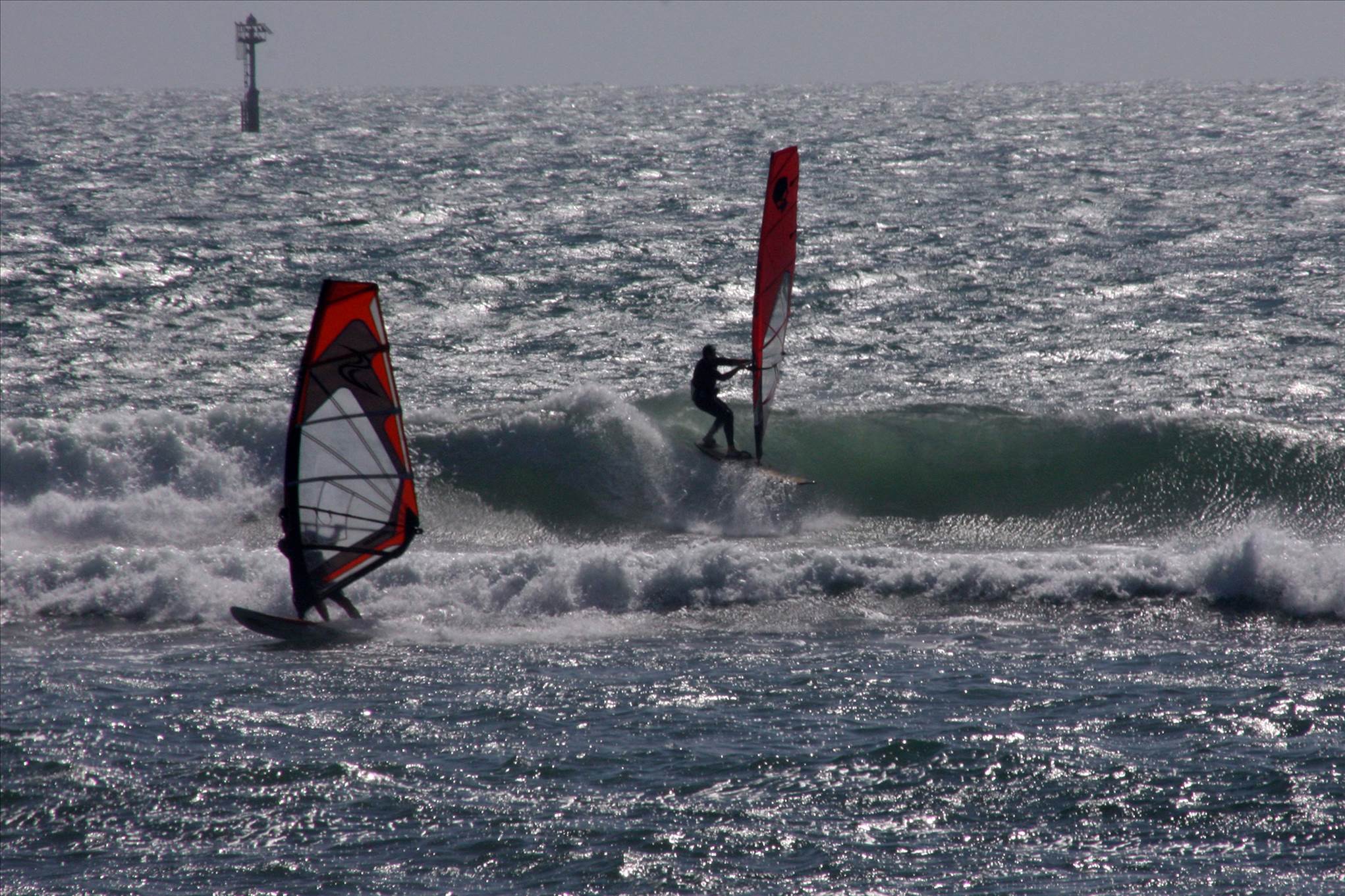 tar for the snaps tanya