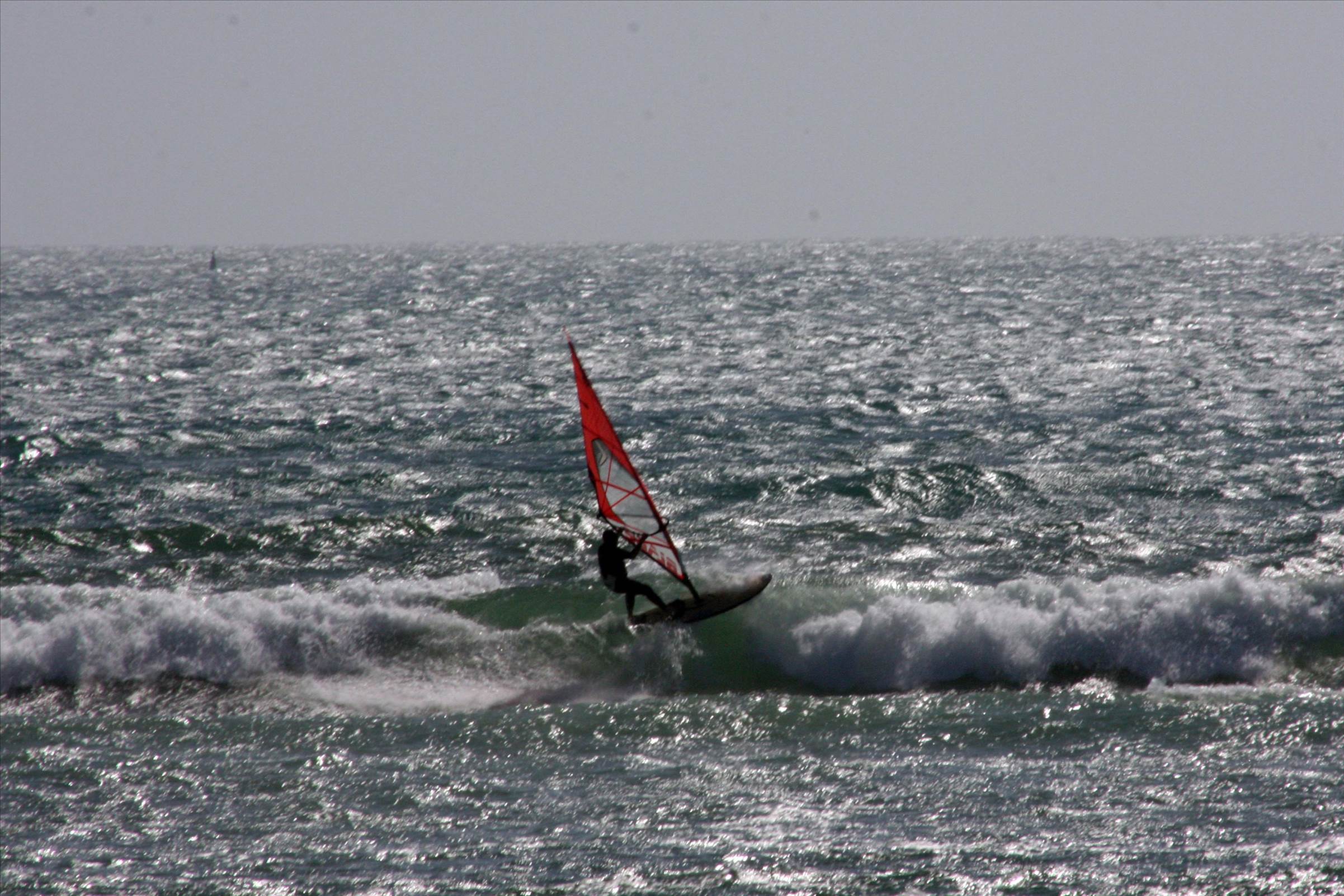 tar for the snaps tanya