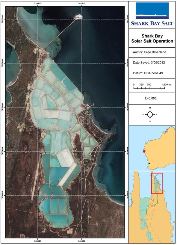 Shark Bay salt