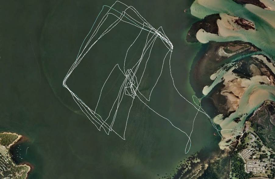 formula race swansea