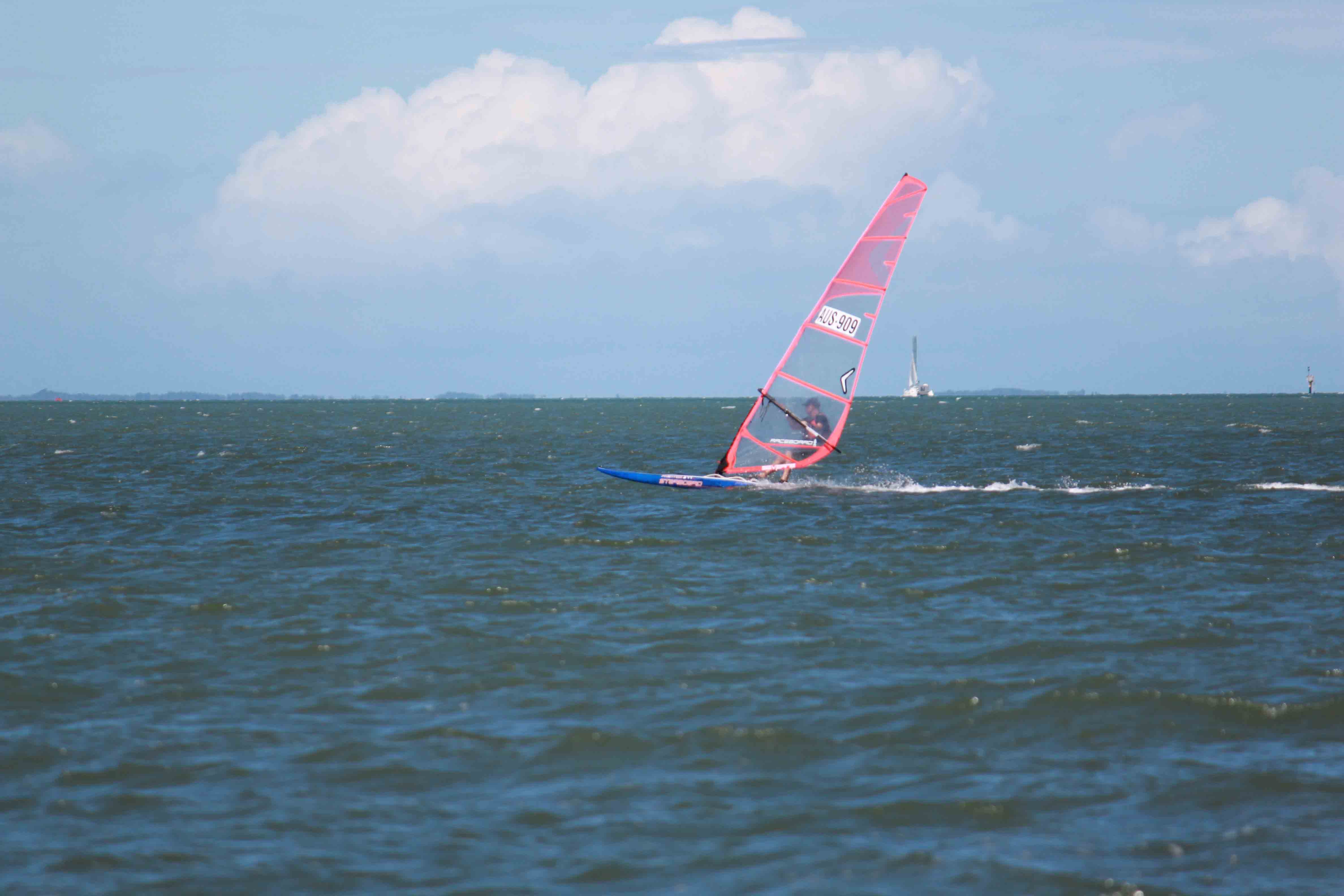 2015 Bayside Oceanics