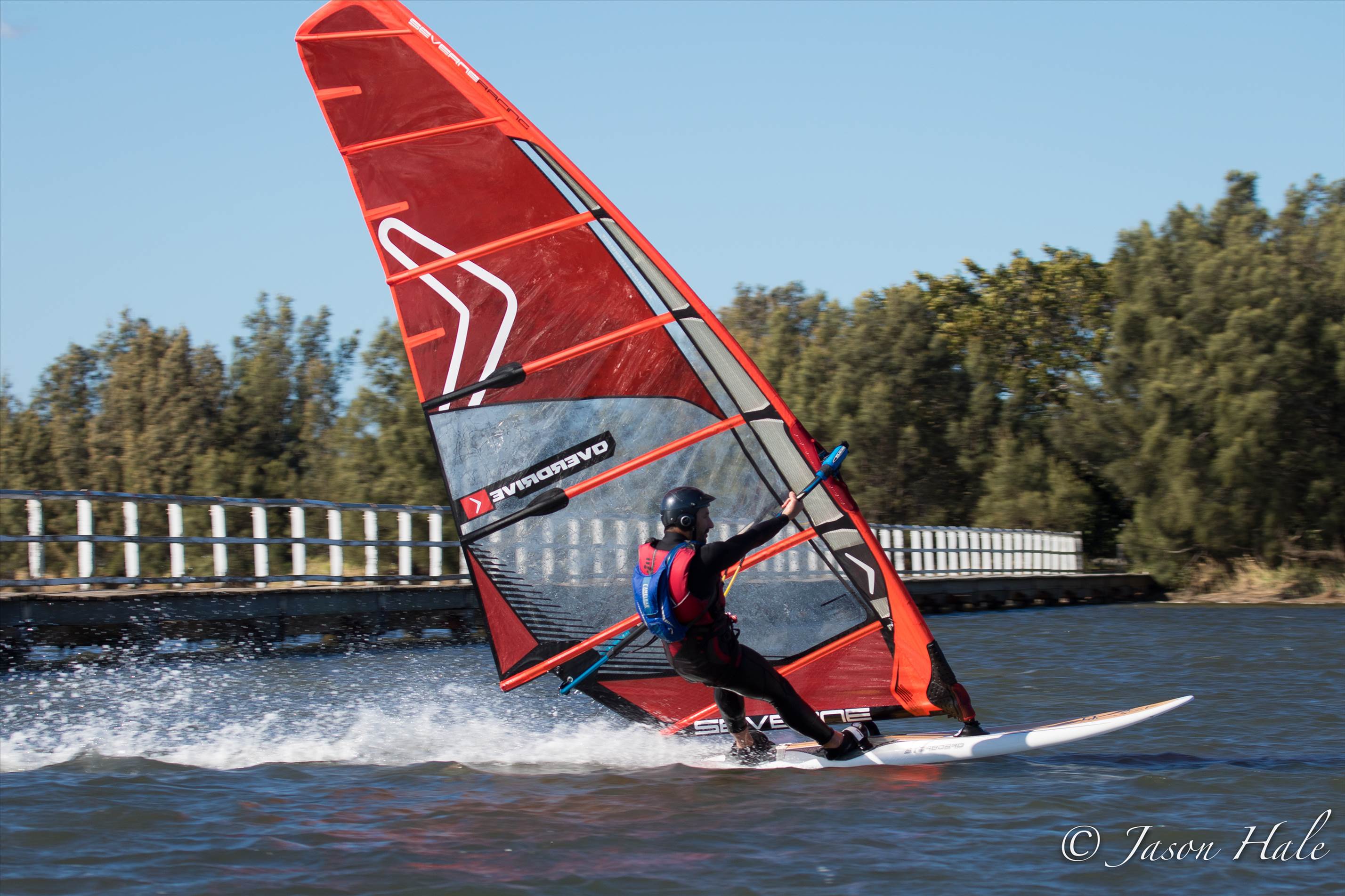 Primbee03082015-1-13