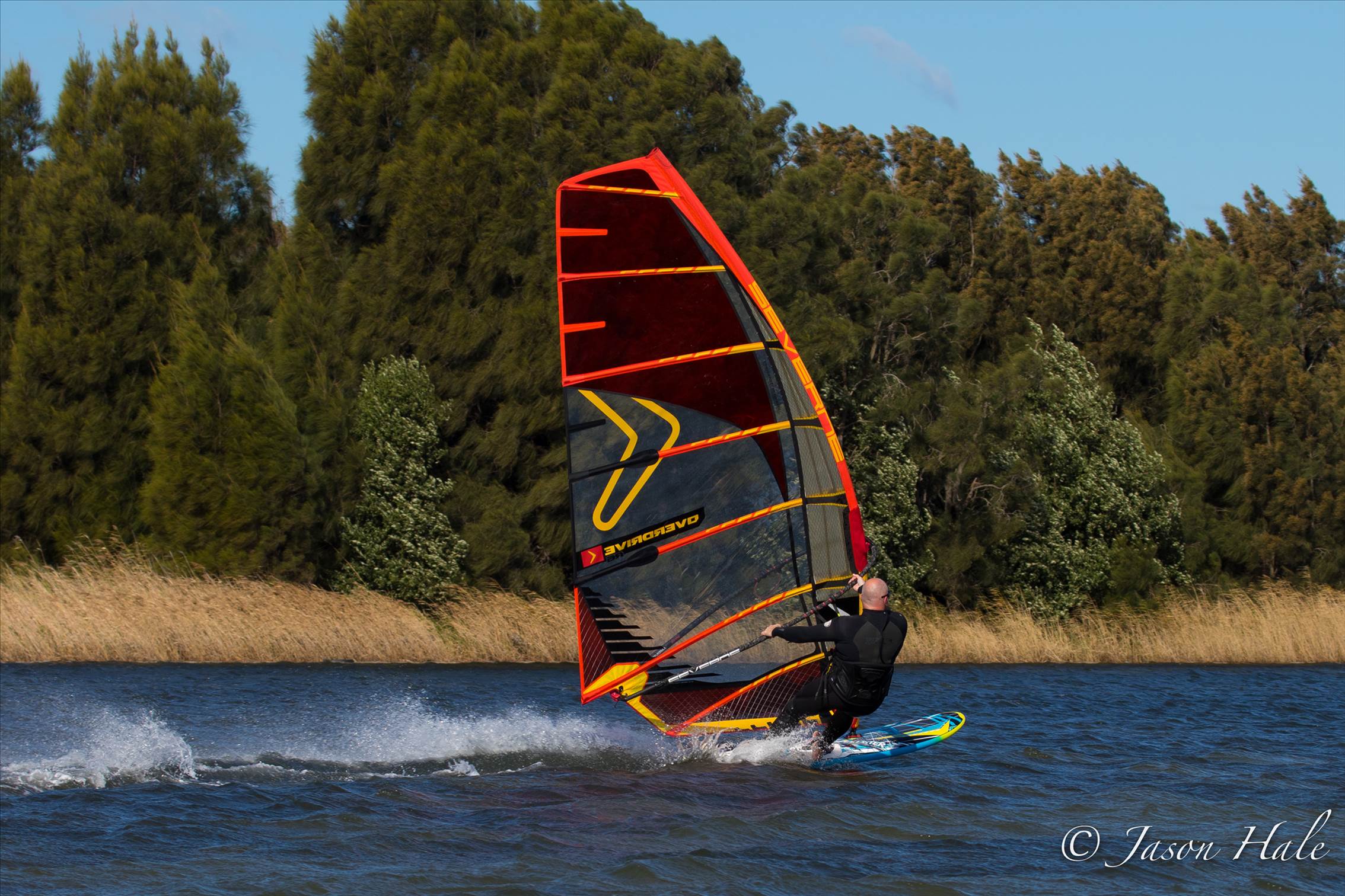 Primbee03082015-1-17