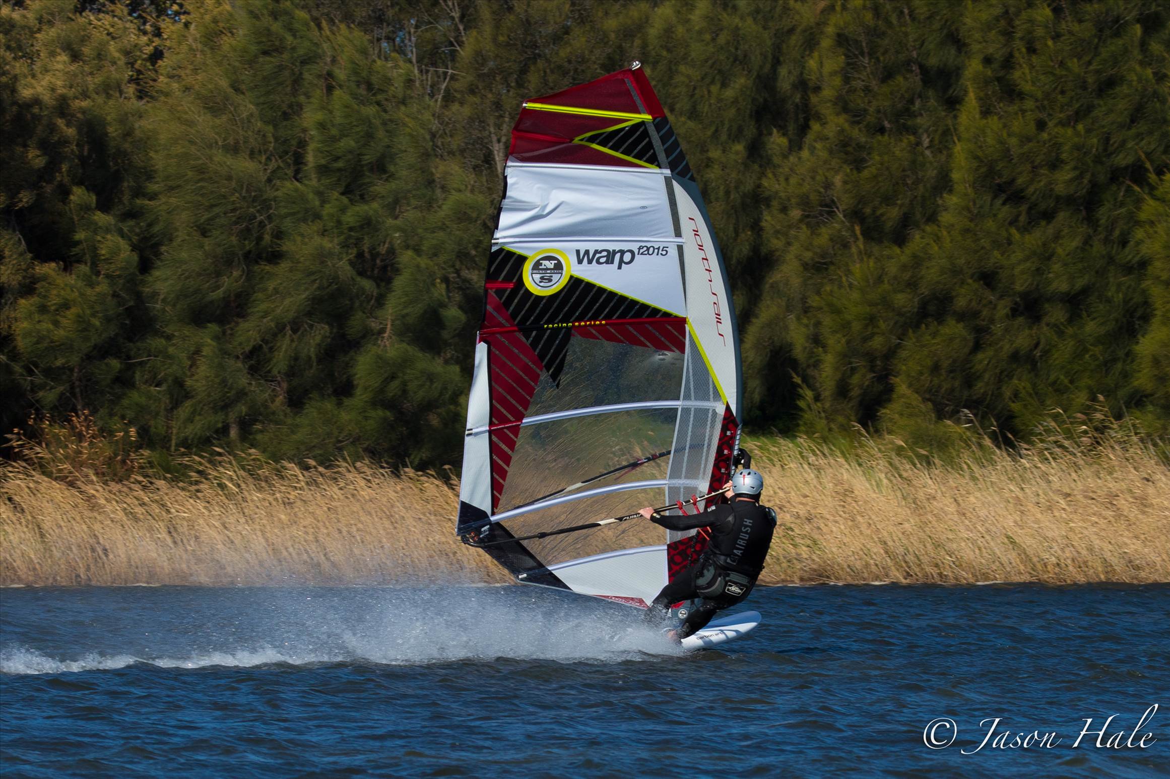 Primbee03082015-1-19