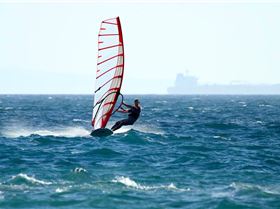 Reflex 7 pre-preduction