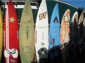 12072604 10207544612350618 2323396774845103236 n