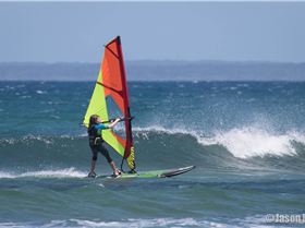 Elli Halank-AUS3111 age 10 windsurfing in waves