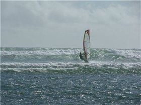 Peli Point Holiday Snaps