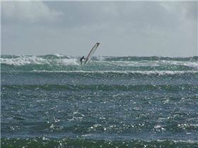 Peli Point Holiday Snaps