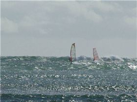 Peli Point Holiday Snaps