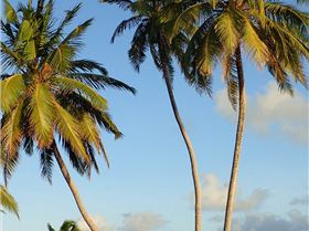 Cocos Lagoon Crossing 2015