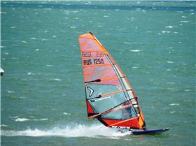 Bayside Slalom 15/11/2015