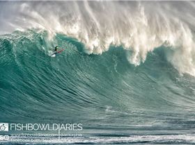 12322522 986648221373267 5702198380543229123 o