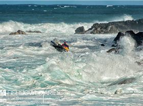 12357003 986236888081067 4229472818062817015 o