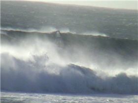 Ian Pott down the line