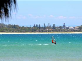 Happy new year tony tang