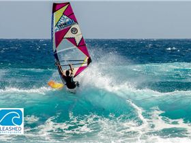 Wavesailing Social Day