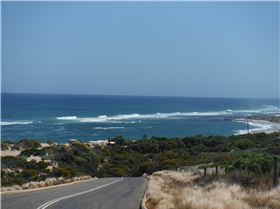 Sic exploring options