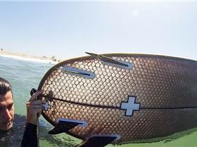 Signal-Snowboards-Ernest-Packaging-Solutions-Cardboard-Surfboard-2