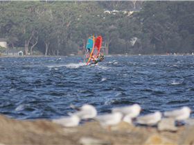 Windsurfing
