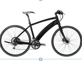 Lost Electric Bike