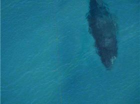 2012s most spine tingling photos so far 27