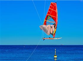 12841348 1127208040637032 7593183389570433989 o