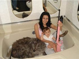 explain-the-image-56