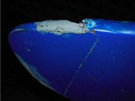 Smashed nose on Mistral Flow