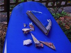 Ya just gotta do what ya just gotta do