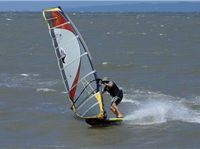 12525215 10208281753746721 6095618554181904290 o