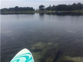 Primbee Submerged Sleeper 1