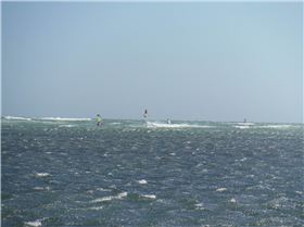 Antman lite on 47 on new board late April 2016