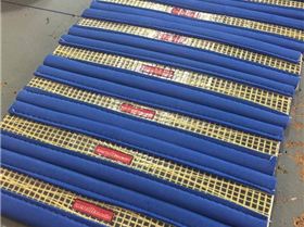 13152782 10153620770567045 1836649008 n