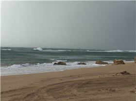 Gearies front may 16