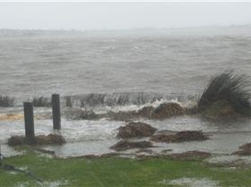 melville 20160521 west off the leash