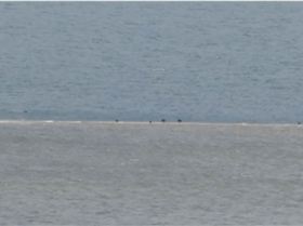 Goodwin Sands barely exposed