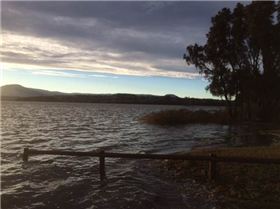 Primbee after the king tide