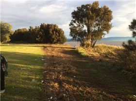 Primbee after the king tide